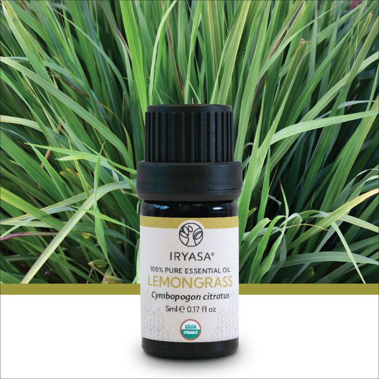 Organic Lemongrass Essential Oil 5ml