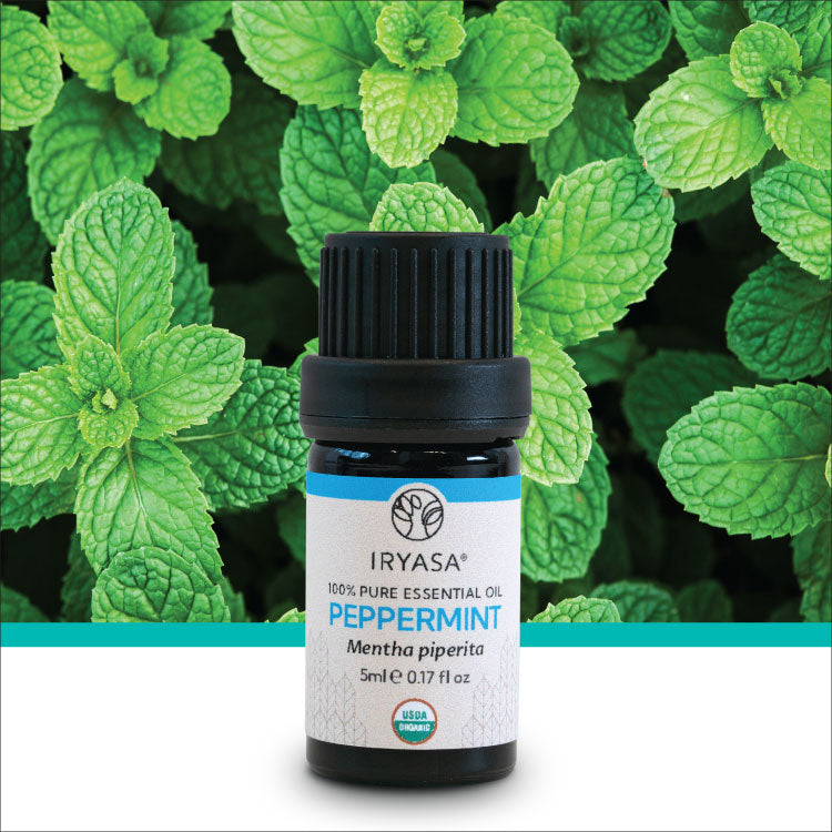 Organic Peppermint Essential Oil 5ml