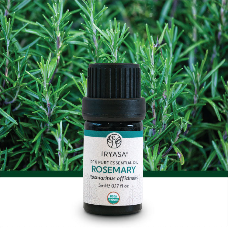 Organic Rosemary Essential Oil 5ml