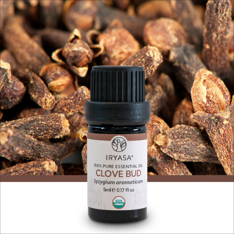Organic Clove Bud Essential Oil 5ml
