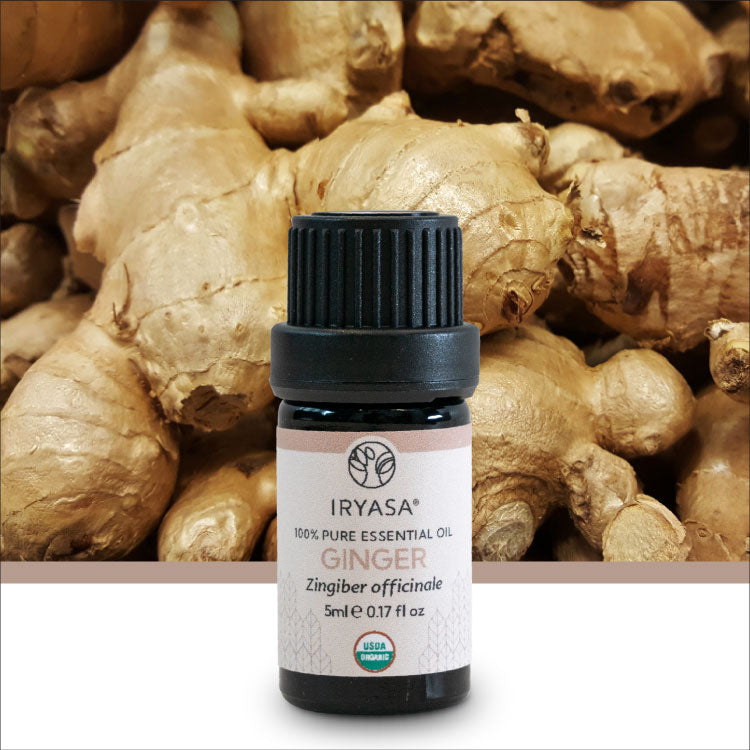 Organic Ginger Essential Oil 5ml