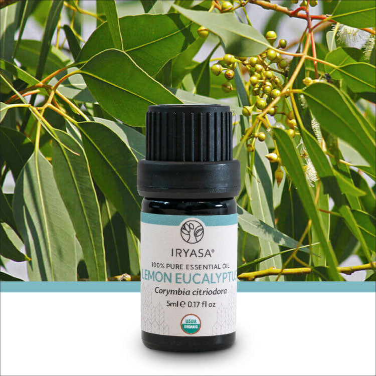 Organic Lemon Eucalyptus Essential Oil 5ml