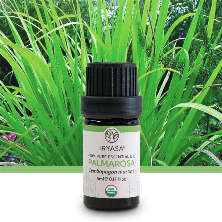 Organic Palmarosa Essential Oil 5ml