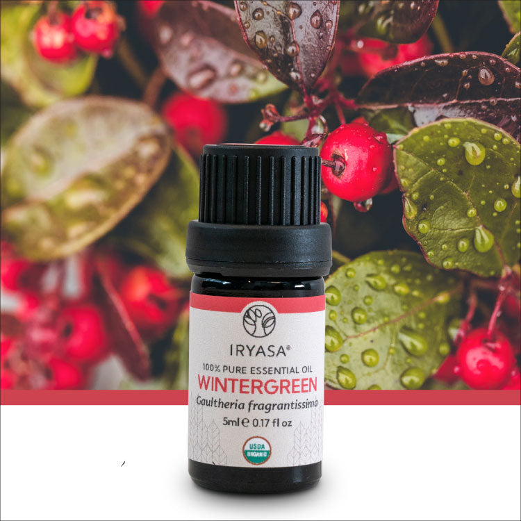 Organic Wintergreen Essential Oil 5ml