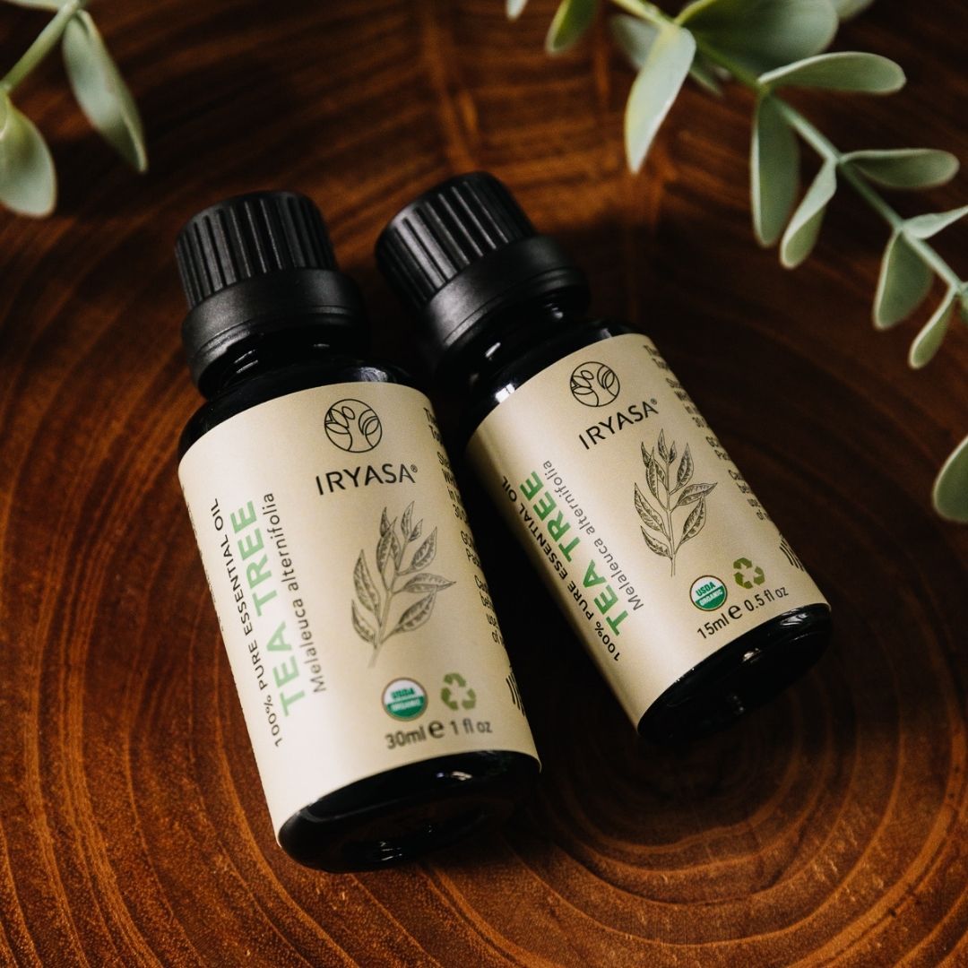 Iryasa Organic Tea Tree Essential Oil for Aromatherapy