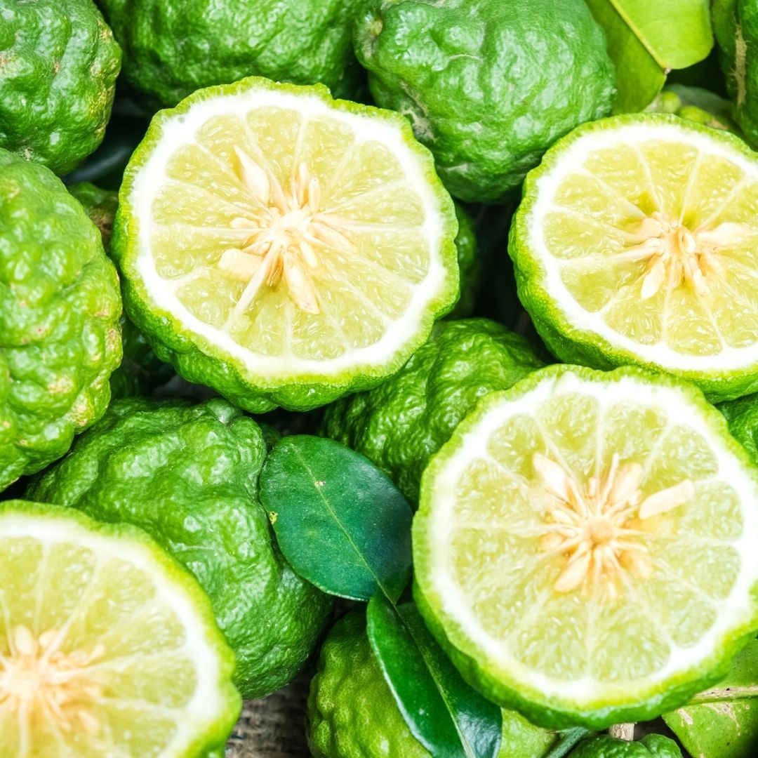 Bergamot Essential Oil for massage and muscle pain relief