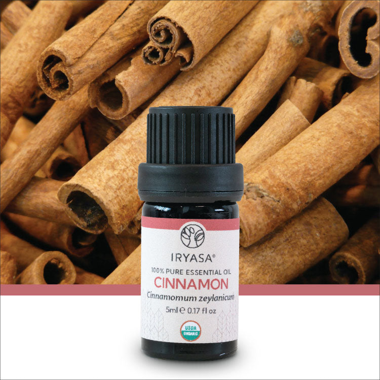 Organic Cinnamon Essential Oil 5ml