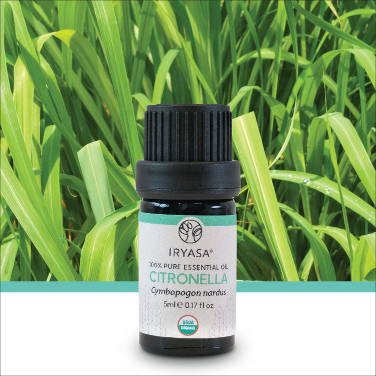 Organic Citronella Essential Oil 5ml