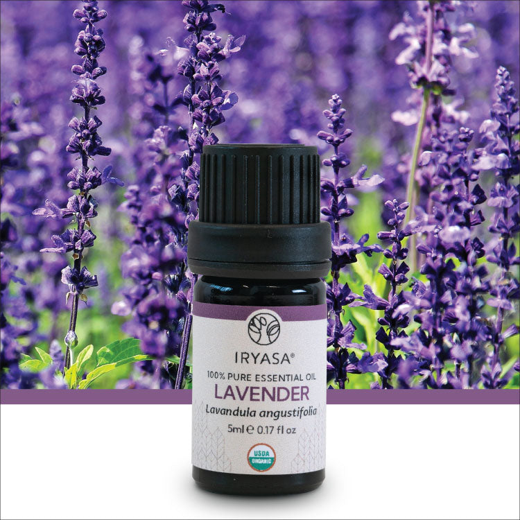 Organic Lavender Essential Oil 5ml