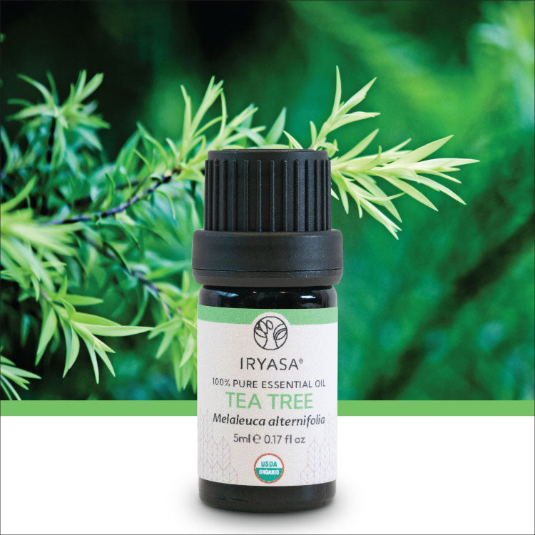 Organic Tea Tree Essential Oil 5ml