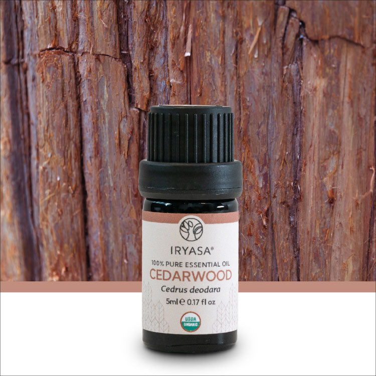 Organic Cedarwood Essential Oil 5ml