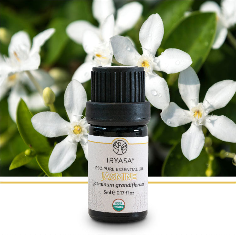 Organic Jasmine Essential Oil 5ml