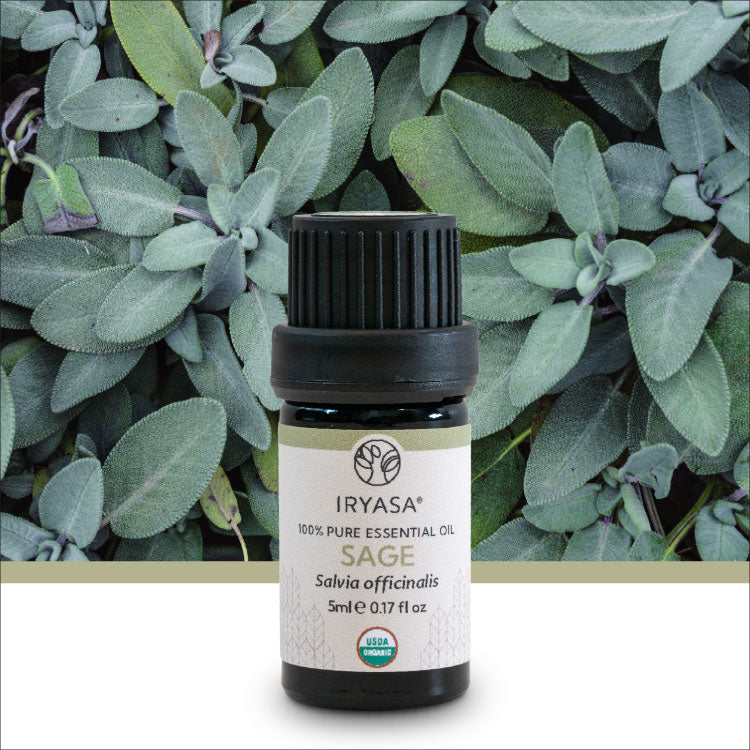 Organic Sage Essential Oil 5ml