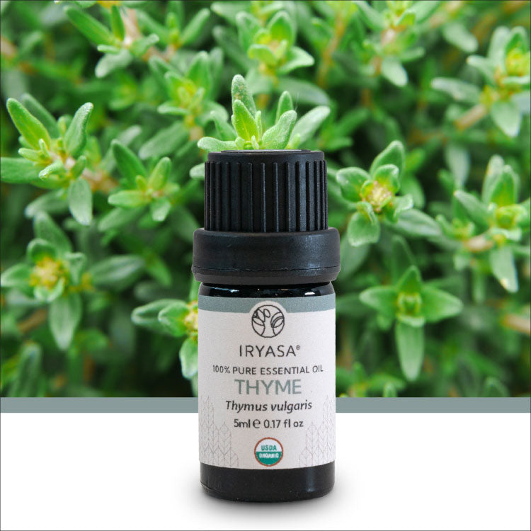 Organic Thyme Essential Oil 5ml