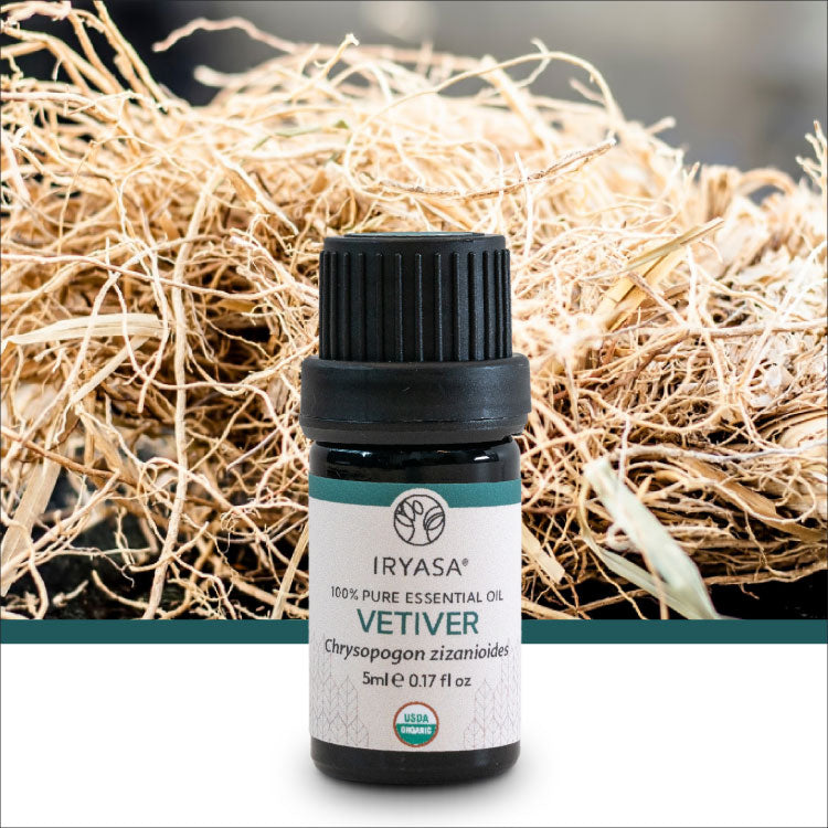 Organic Vetiver Essential Oil 5ml