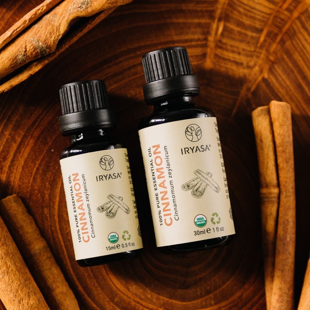 Iryasa Organic Cinnamon Essential Oil for Aromatherapy