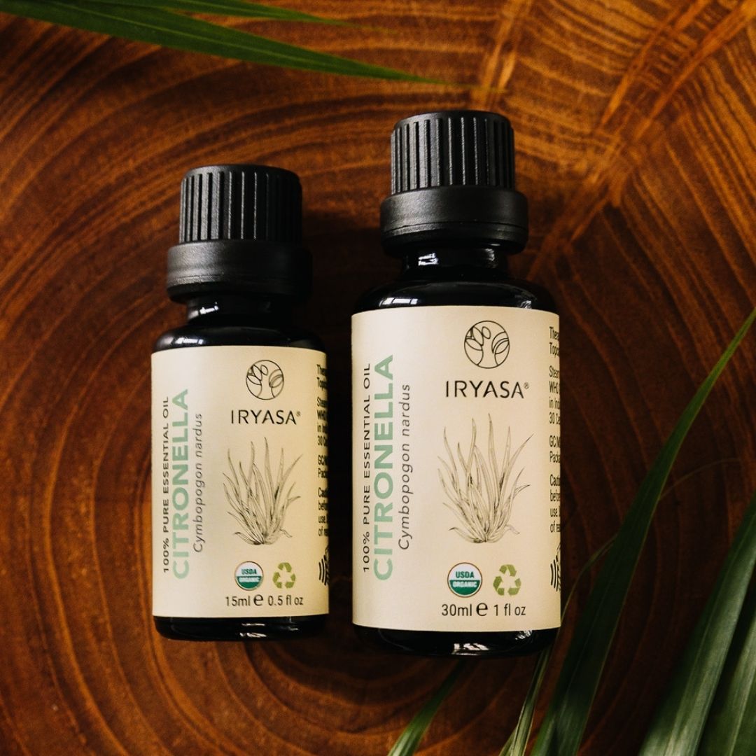 Iryasa Organic Citronella Essential Oil for Aromatherapy