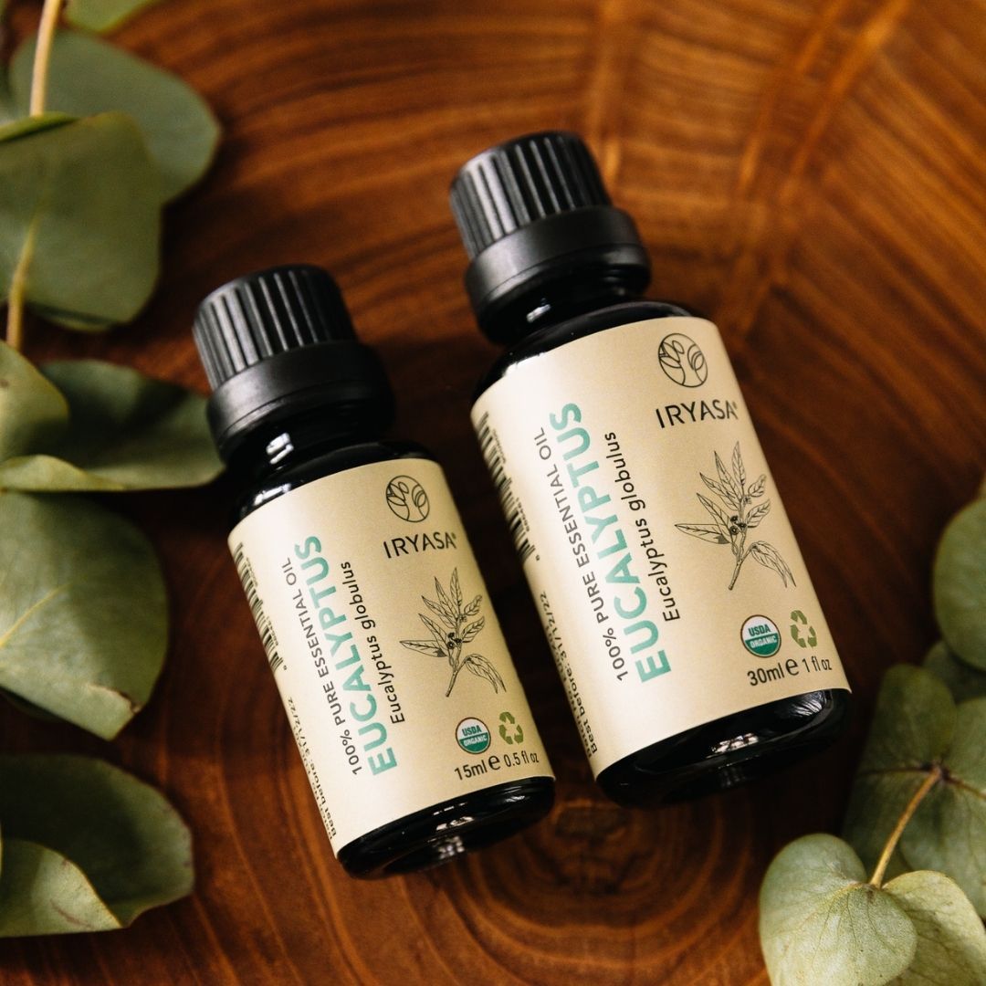 Eucalyptus Essential Oil 100 Pure USDA Organic Iryasa
