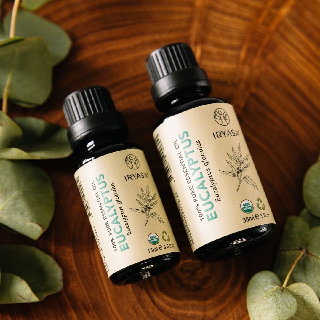 Iryasa Organic Eucalyptus Essential Oil for Aromatherapy